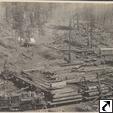 Logging Camp, view A.