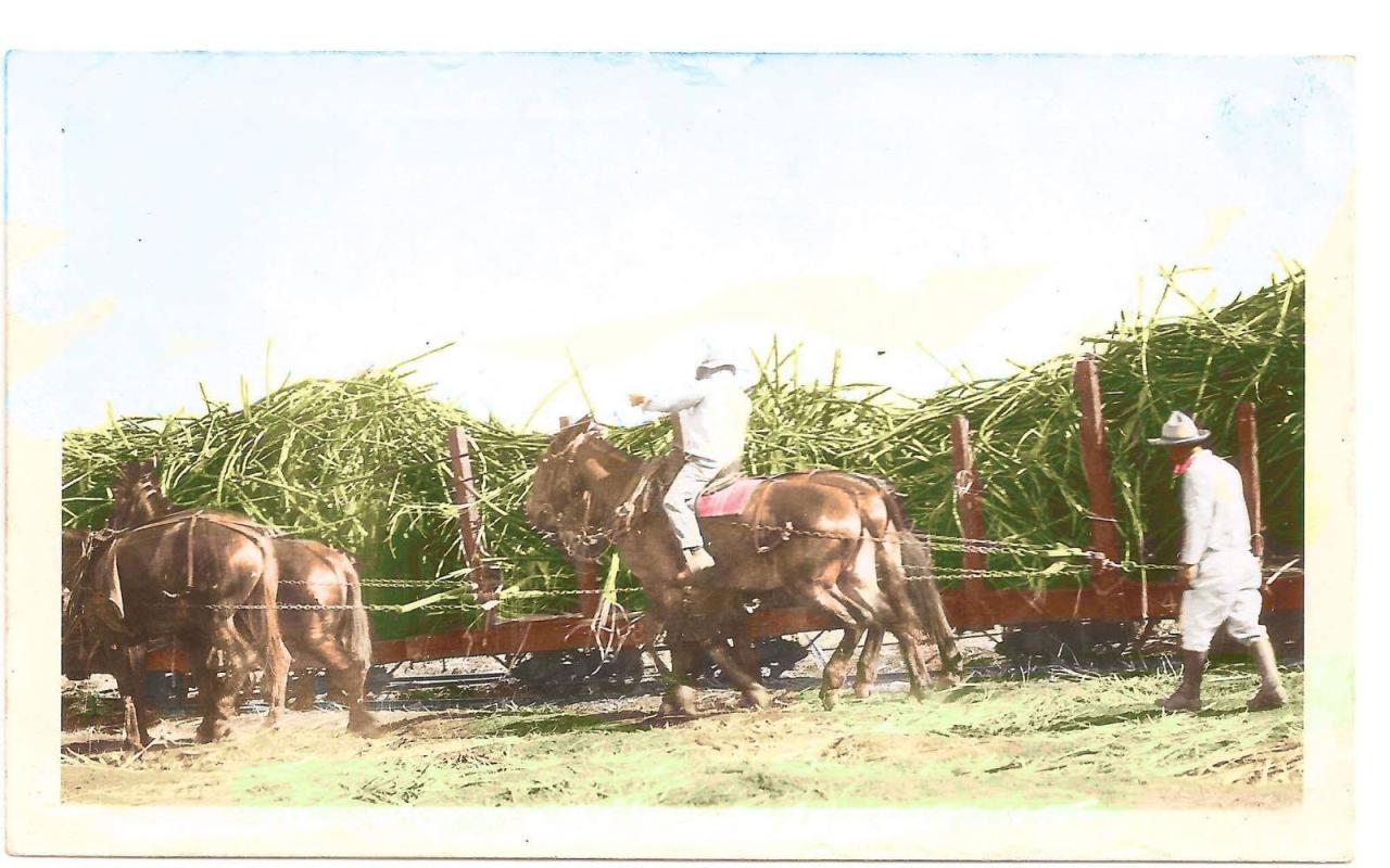 Waianae Sugar Company