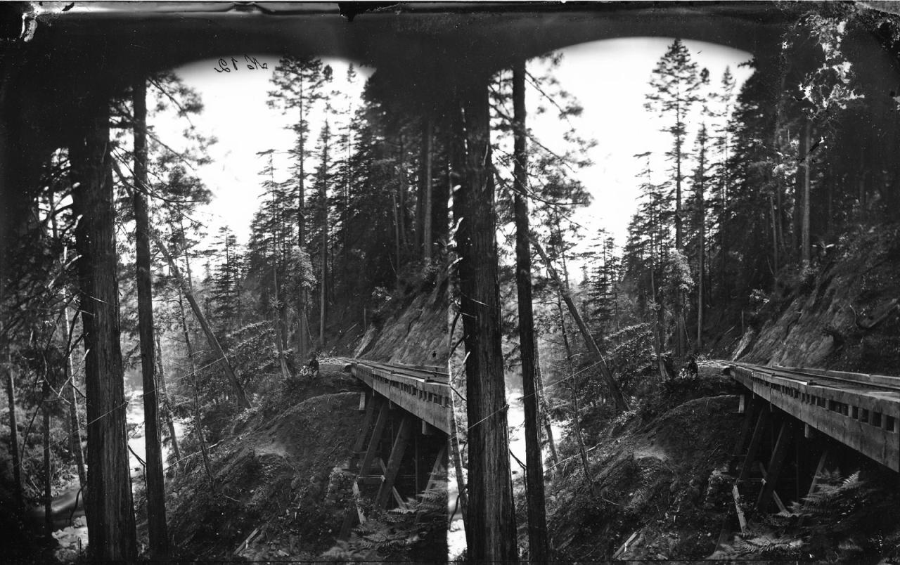 Trestle in the San Lorenzo river canyon.