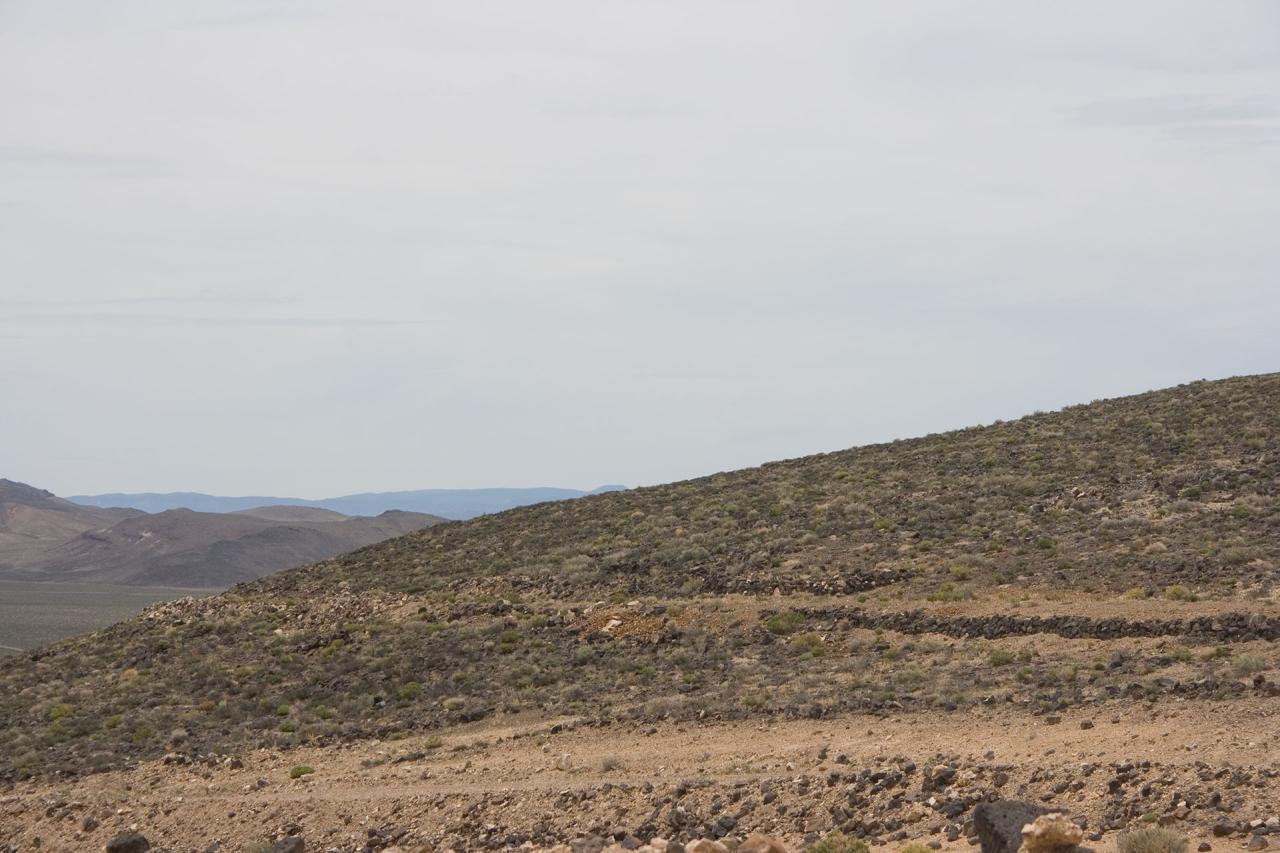 Candelaria-W-Grade