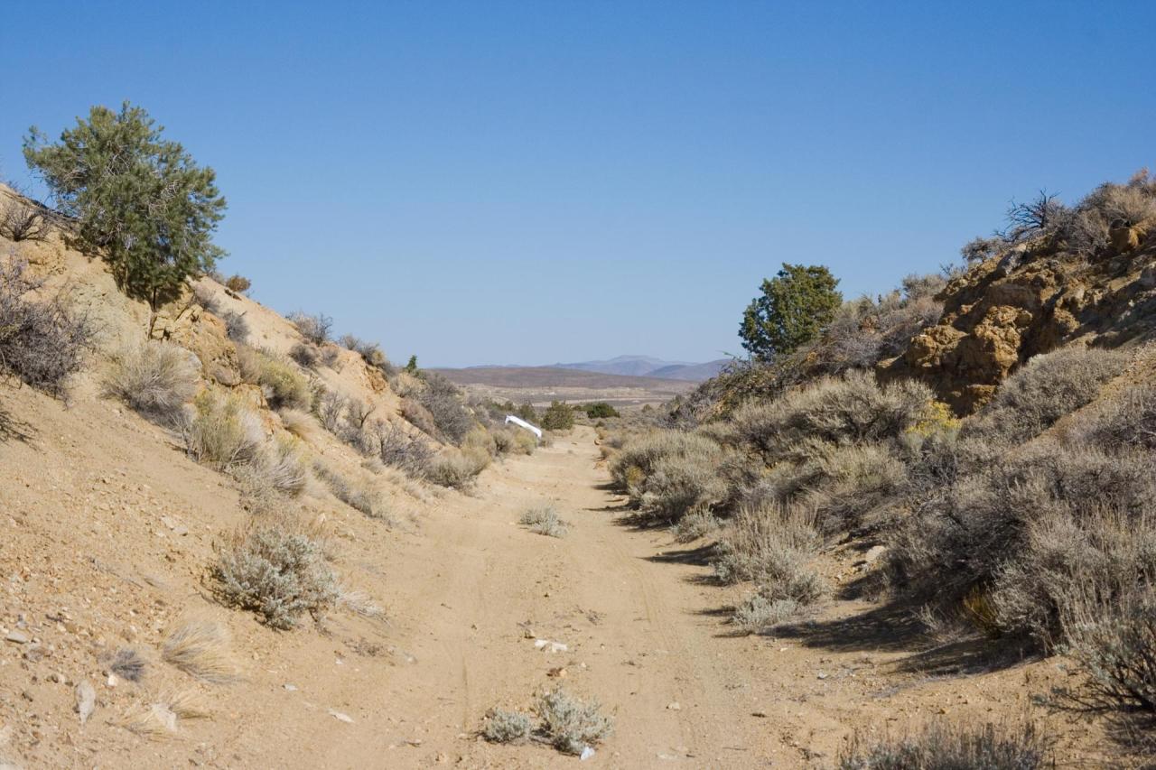 cc-row-cut-looking-west