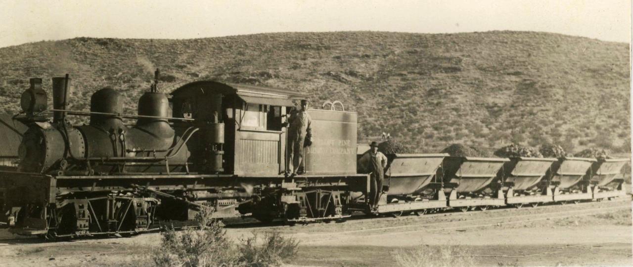 Loco and ore cars Yellow Pine Mine Goodsprings