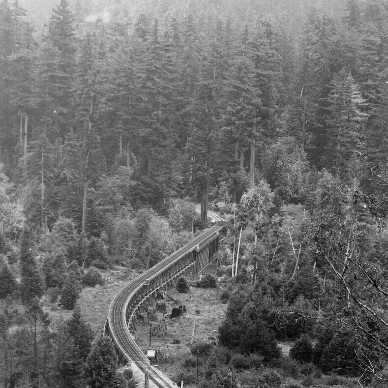 San Lorenzo River Bridge