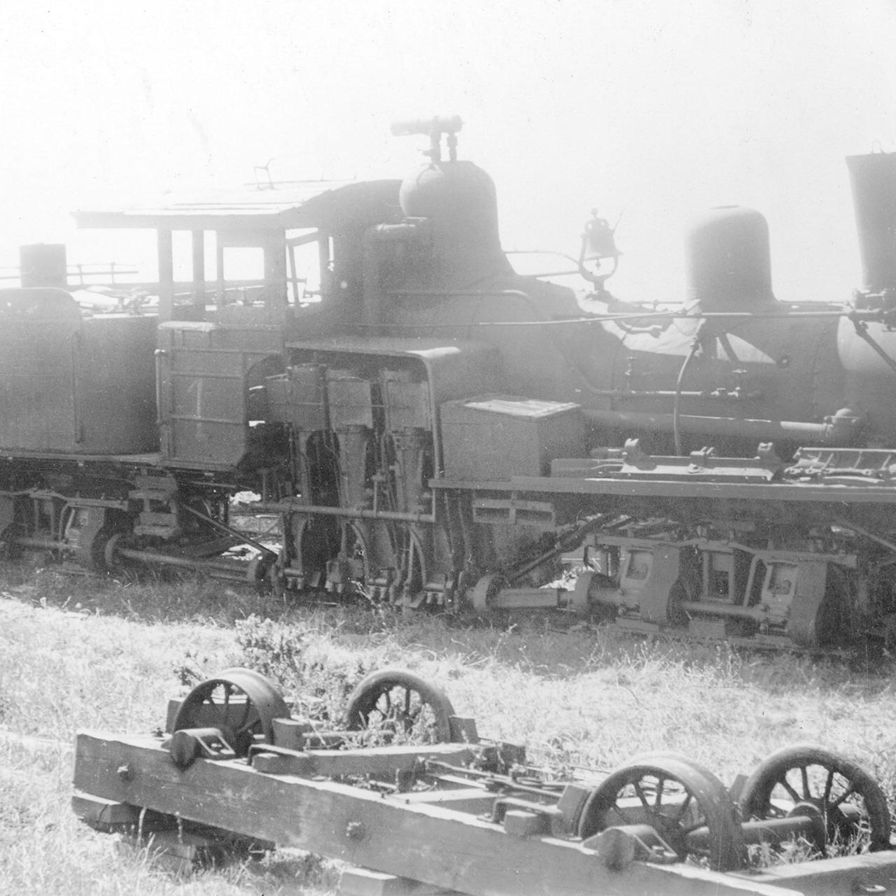 Shay #5 (former #1) out of service in Elk. June 20, 1940.