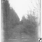 Abandoned OI&SCo railroad to mine, 1903.