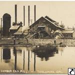 West Side Lumber Co.s mill, Tuolumne, Cal.