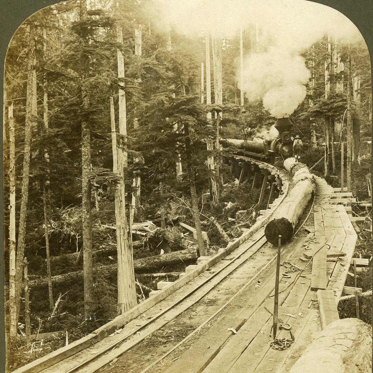 "Mountaineer" moving logs