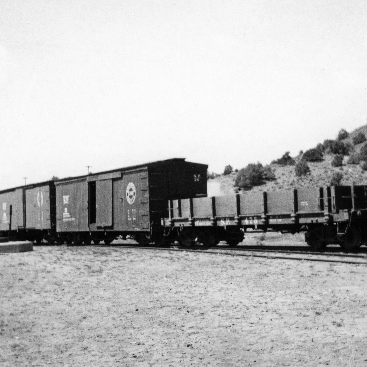 no9-with-train-at-mt-montgomery